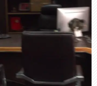 转让老板桌，椅